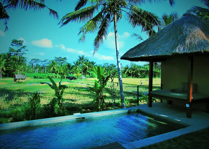 Temuku Villa Ubud