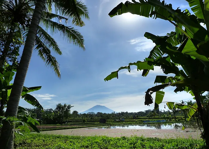 Temuku *